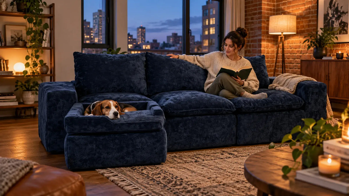 Beagle resting on the detachable dog seat module attached to the front of a navy MONVANE Human & Pet Modular Sofa while its owner reads