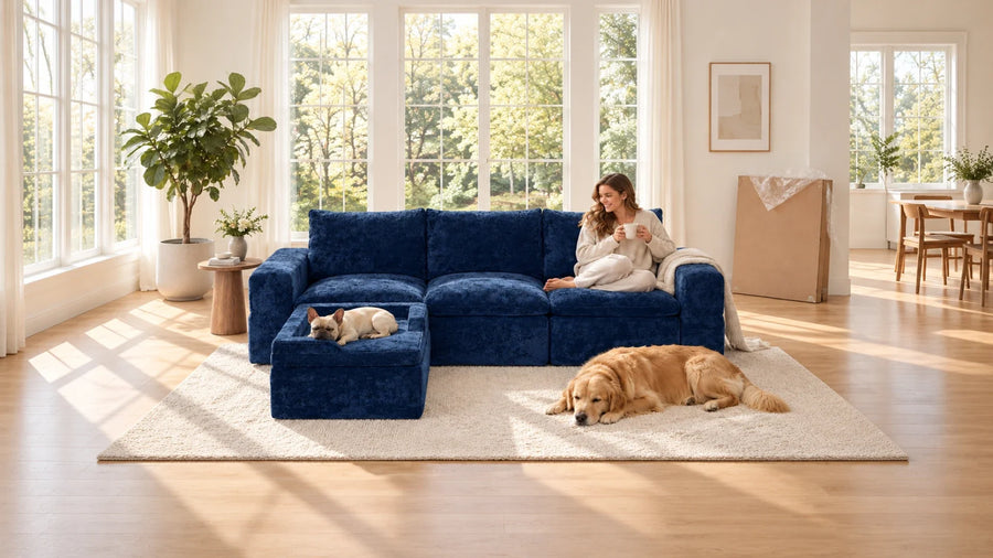 Monvane compressed modular couch unboxing and 72-hour foam expansion guide
