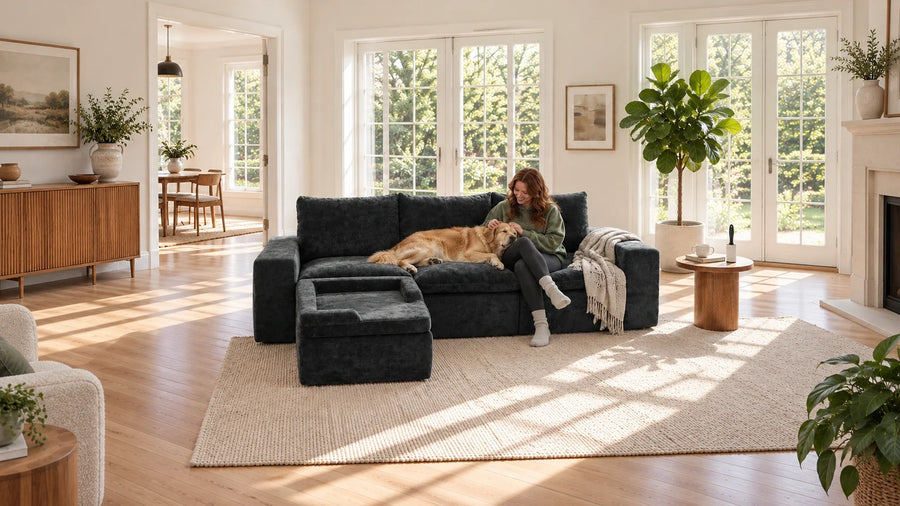 Golden retriever resting beside a dark grey crushed velvet MONVANE Human & Pet Modular Sofa with dog hair removal tools
