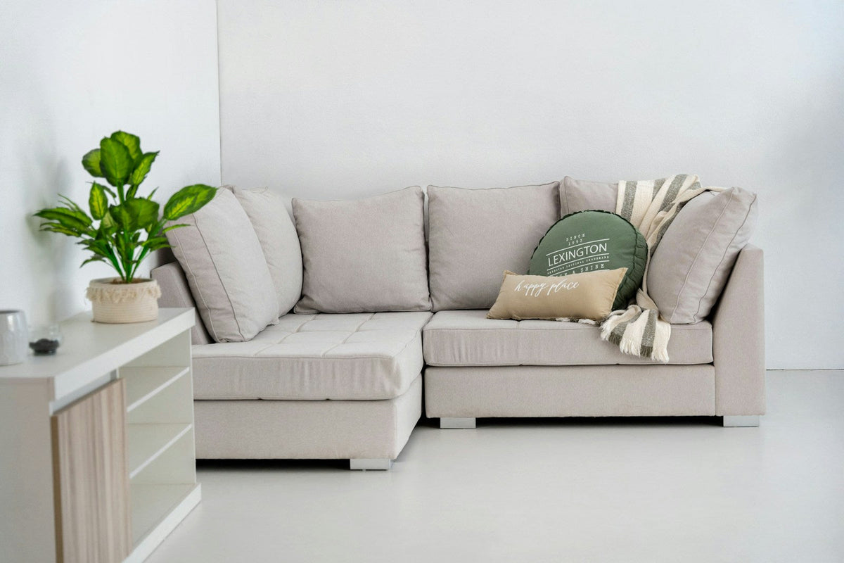 Light gray sectional with a left-side chaise, distinct seat and back cushions, and a striped throw beside a potted plant.